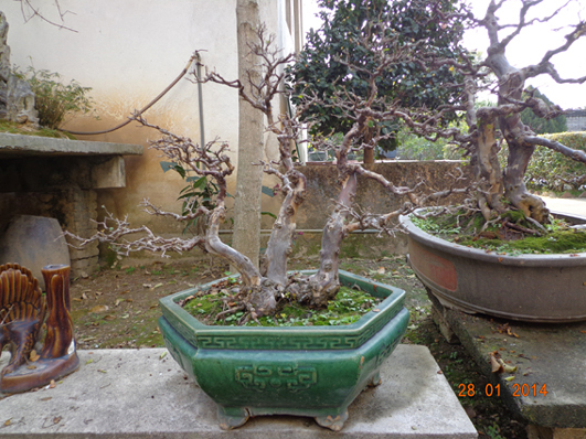 DSC02280.JPG