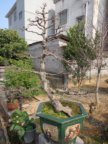 DSC02286.JPG
