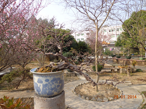 DSC02287.JPG