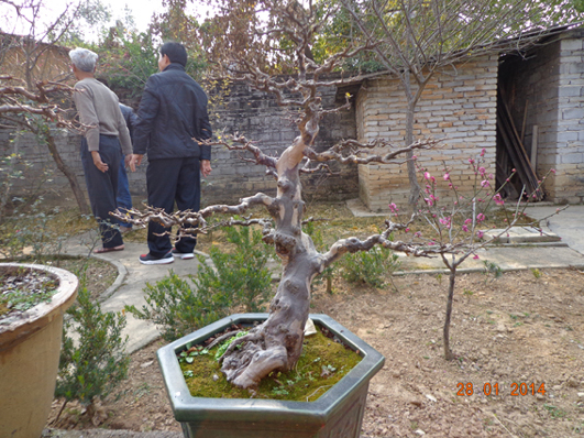 DSC02288.JPG