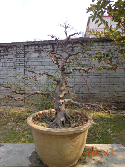 DSC02289.JPG