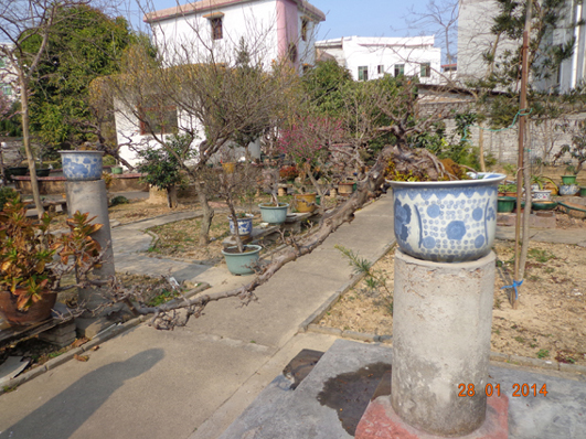 DSC02291.JPG