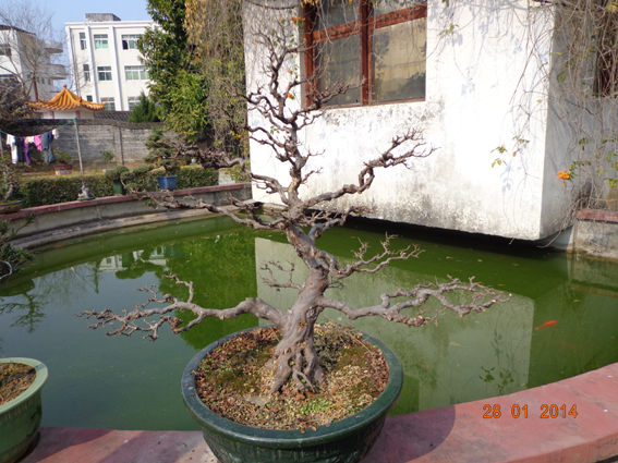 DSC02293.JPG