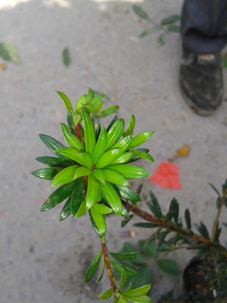 20140221_112106.jpg