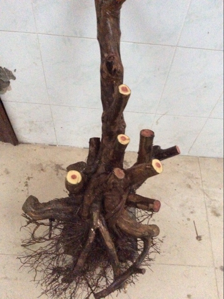 QQͼƬ20140221181601.jpg