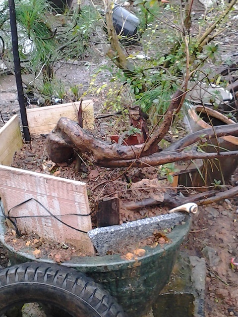20140222_115655.jpg
