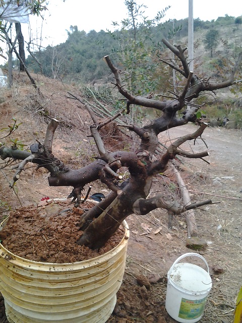 20140215_163305.jpg