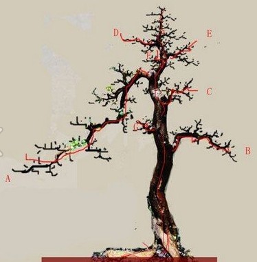 辰8.jpg