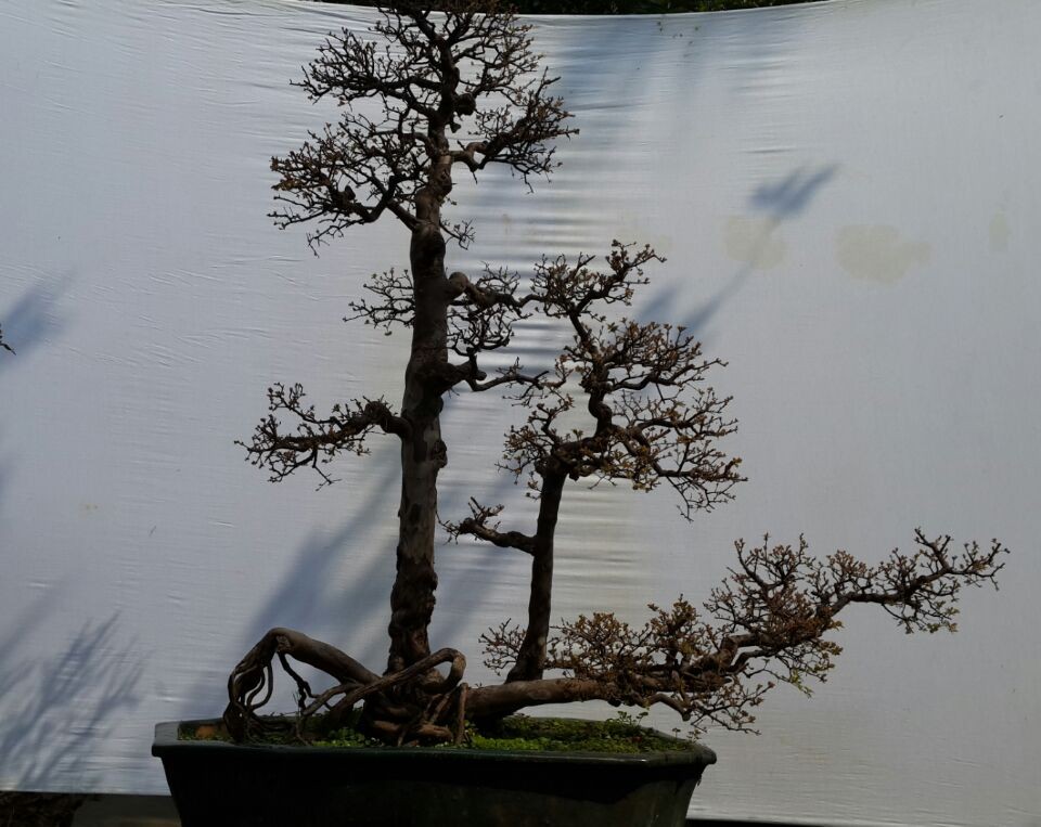 QQͼƬ20140223104636e.jpg