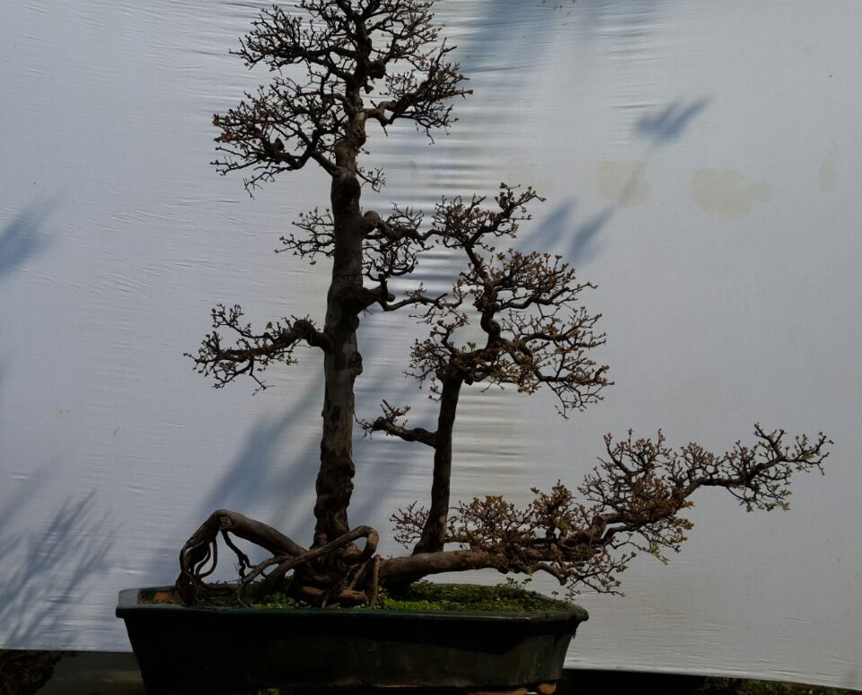 QQͼƬ20140223104650e1.jpg