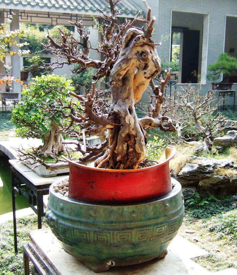 DSCF4917.JPG