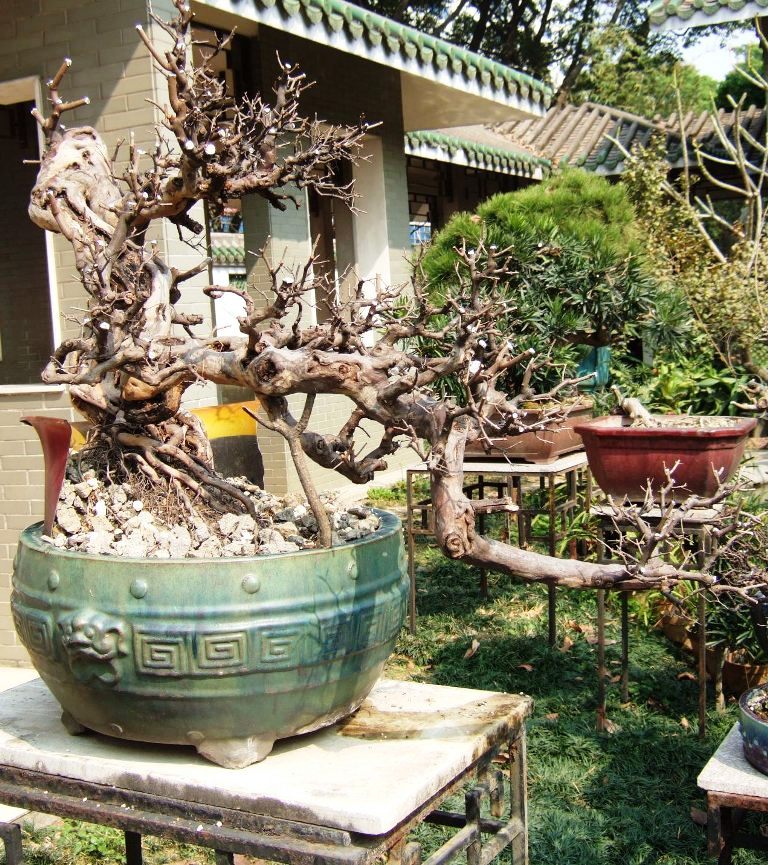 DSCF4920.JPG