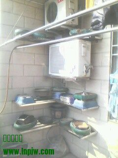 IMG0359A.jpg
