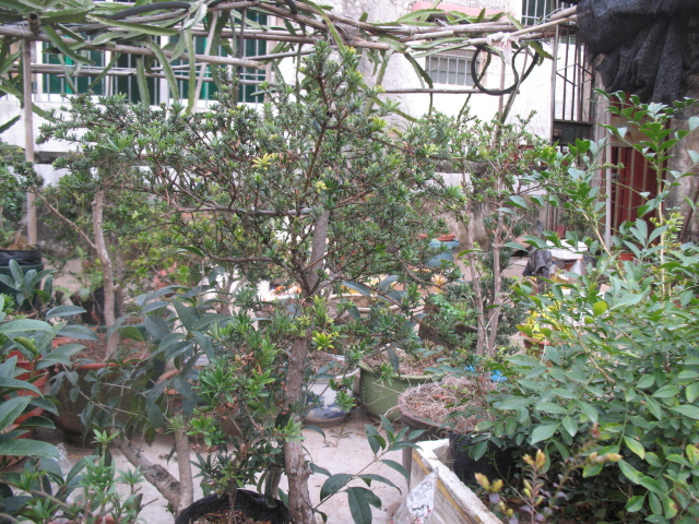 IMG_7738.JPG