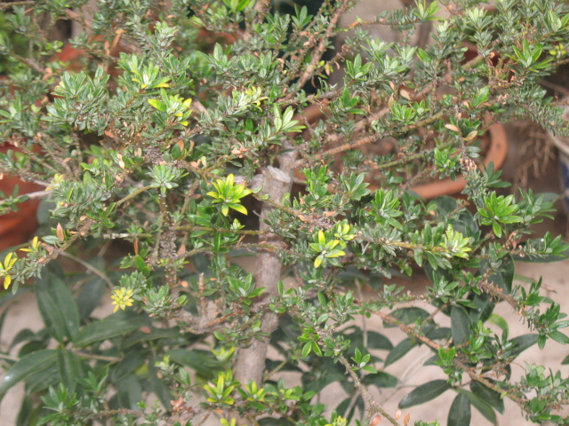IMG_7740.JPG