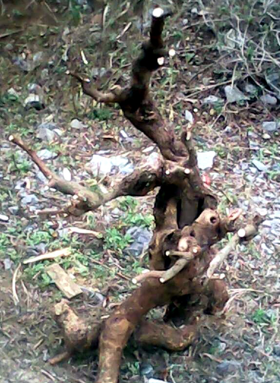 QQͼƬ20140224151608.jpg