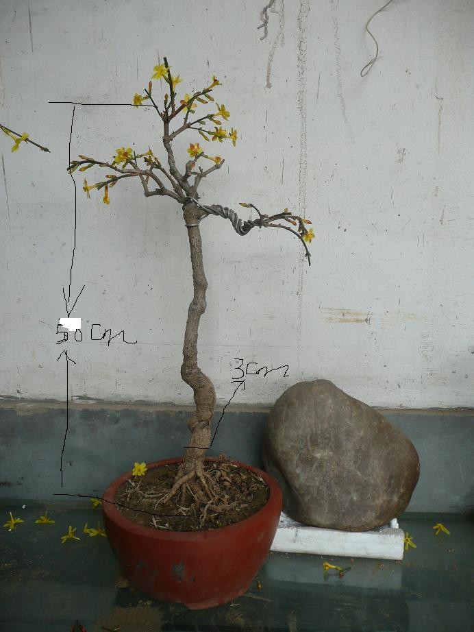 P1050125.JPG