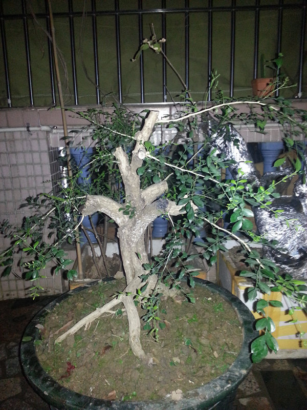 20140223_222051_ - .jpg