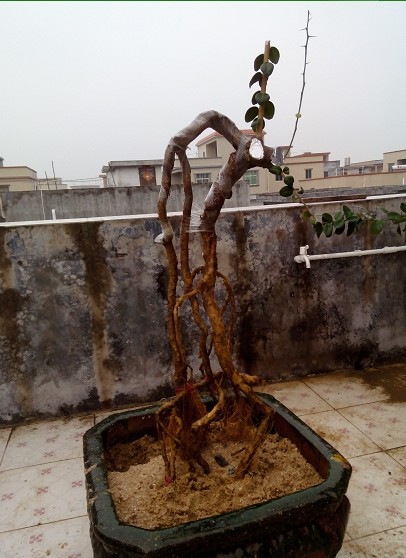 QQͼƬ20140225210950.jpg