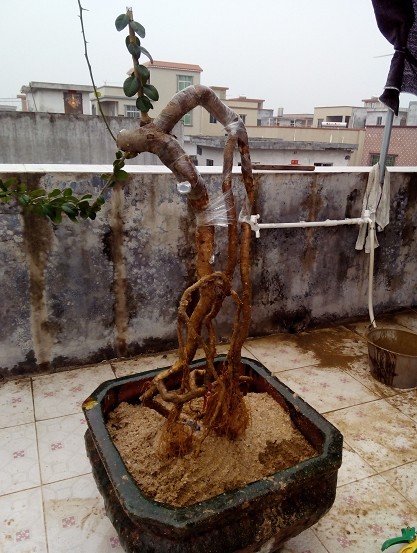 QQͼƬ20140225210944.jpg