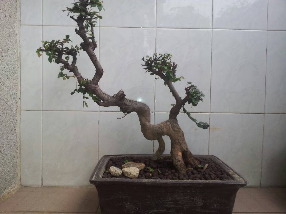 QQͼƬ20140226133014.jpg