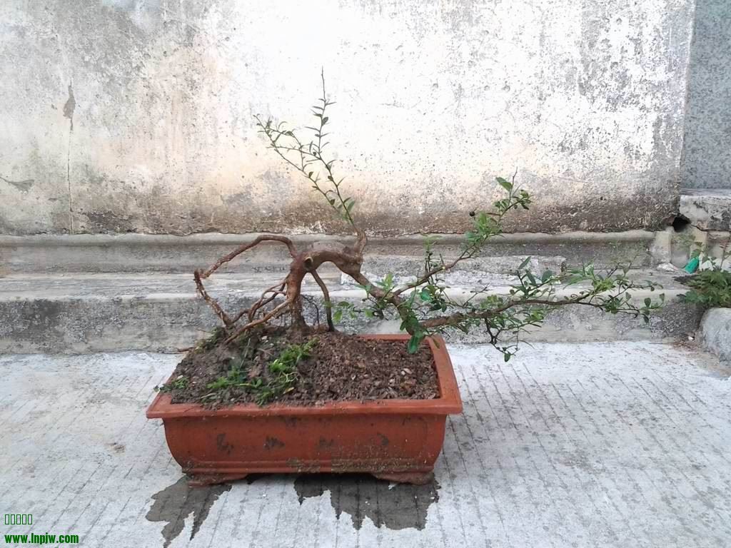 20140226_142647.jpg