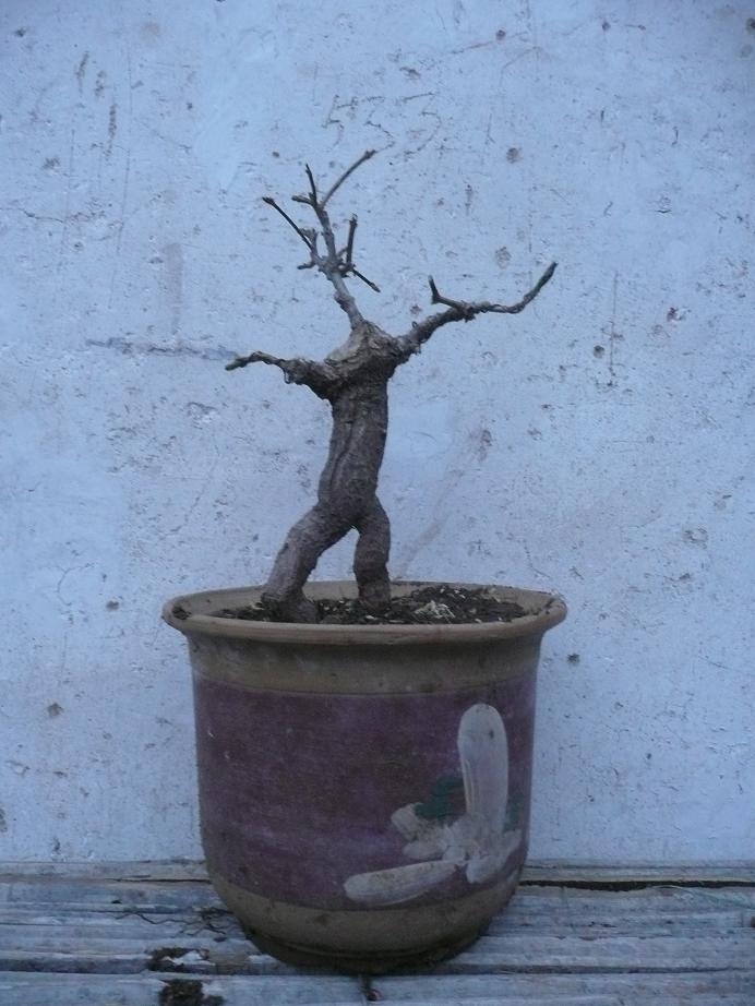 P1050138.JPG