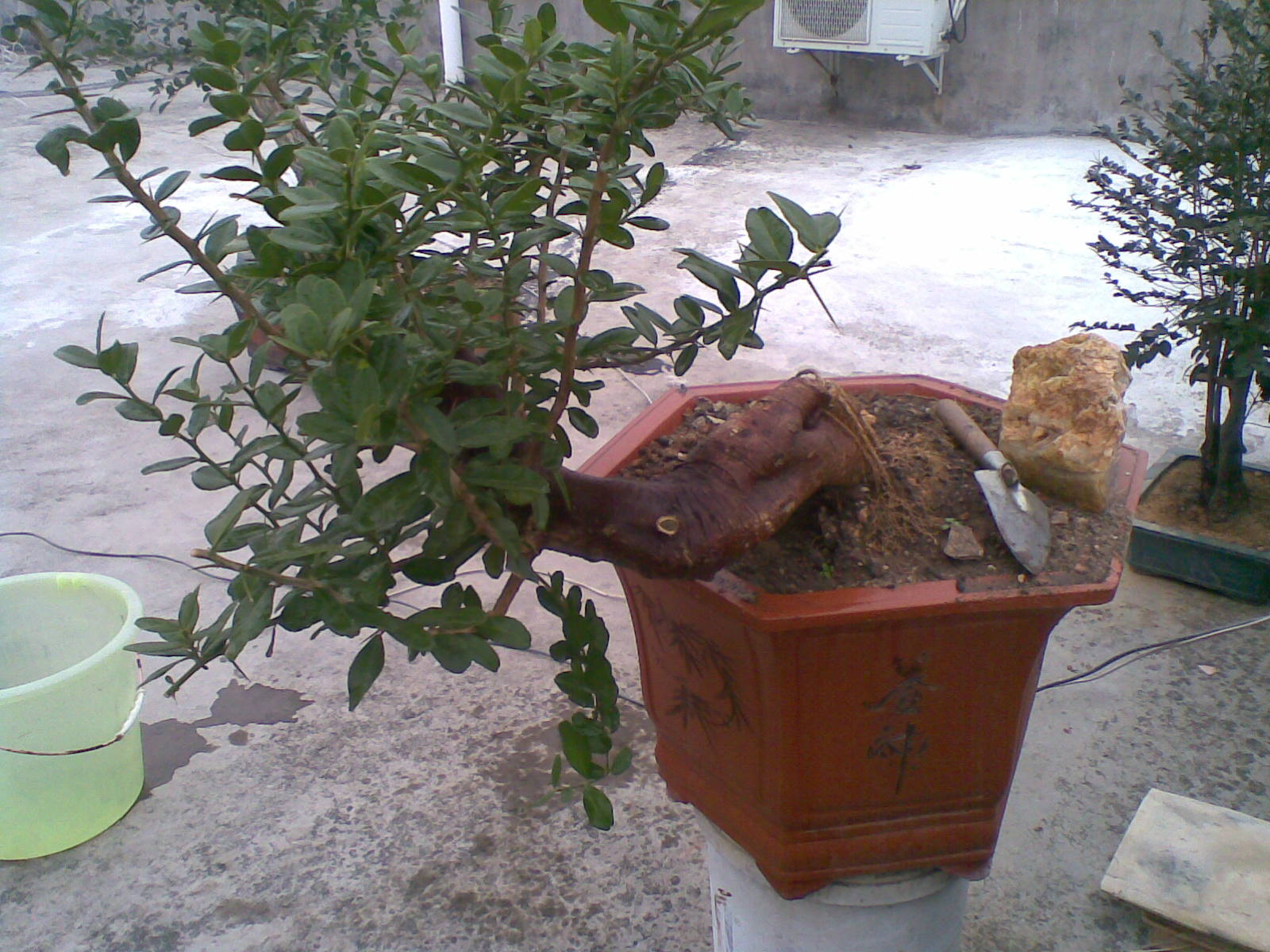 20140128(012).jpg
