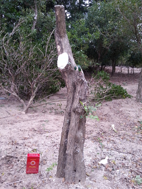 20140211_172856.jpg
