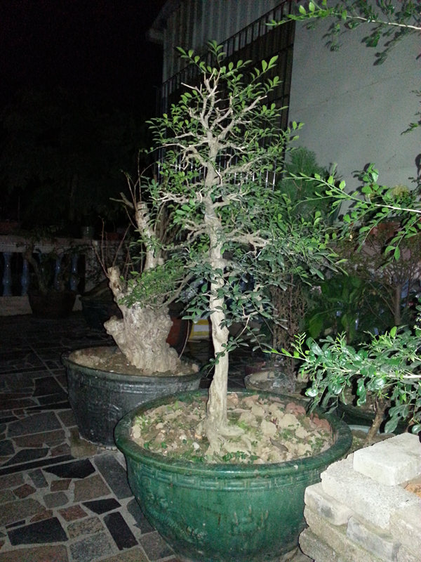 20140227_191124_1.jpg