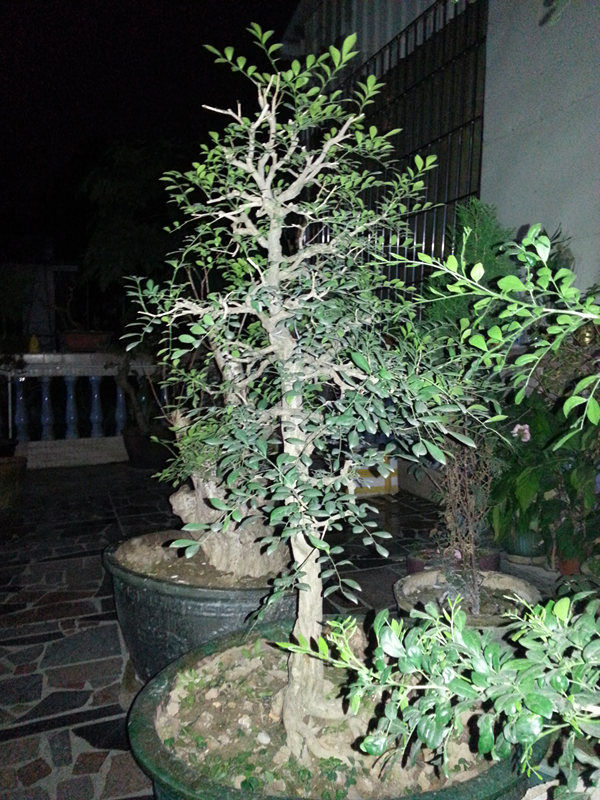 20140227_191149_.jpg