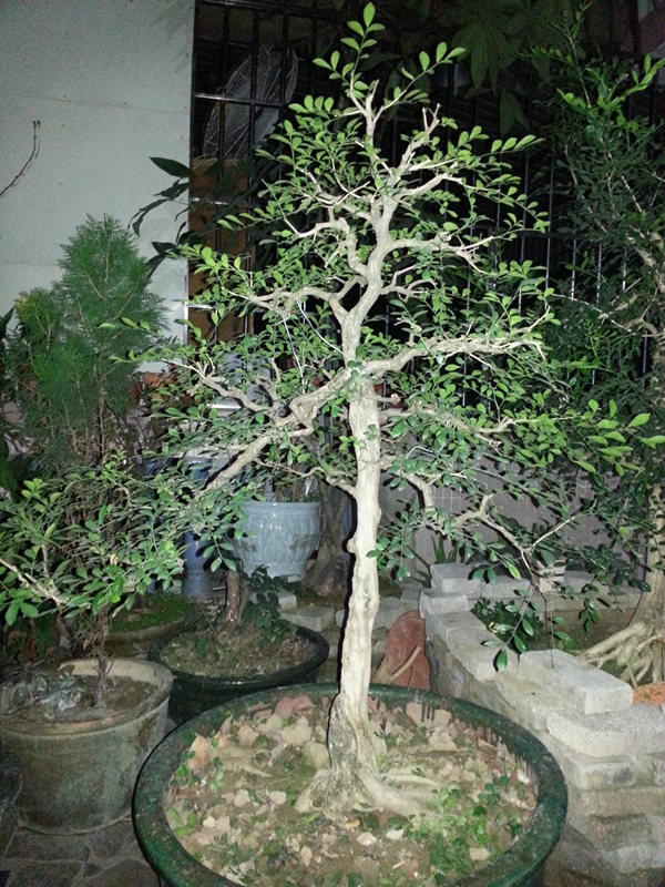 20140227_191204_.jpg