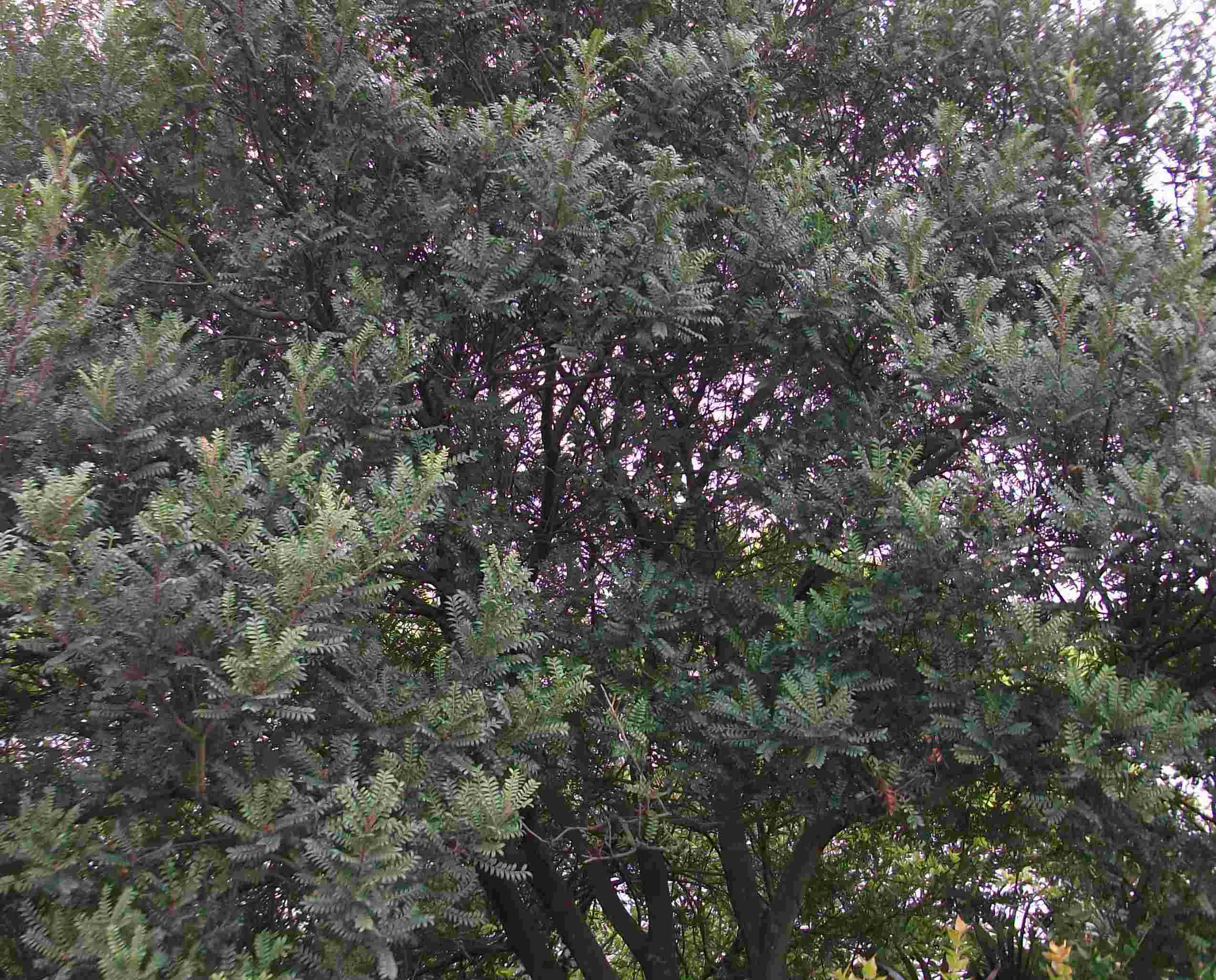 DSCF0314.jpg