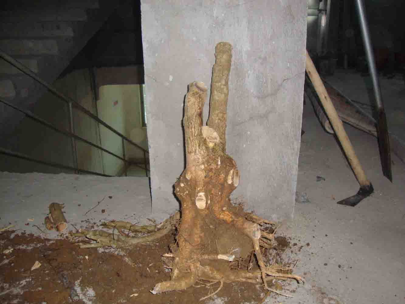 46.jpg