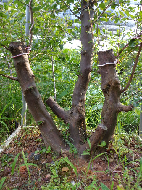 DSC00314.JPG
