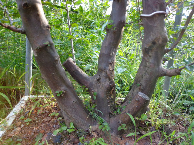 DSC00315.JPG