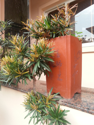 20140227_075712u.jpg