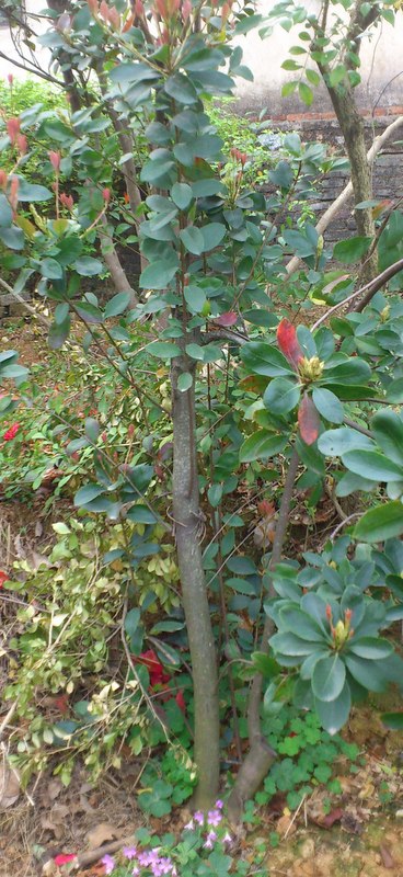 DSC_1156.jpg