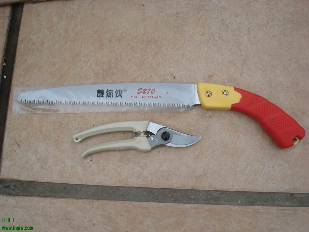 С DSC01869.JPG