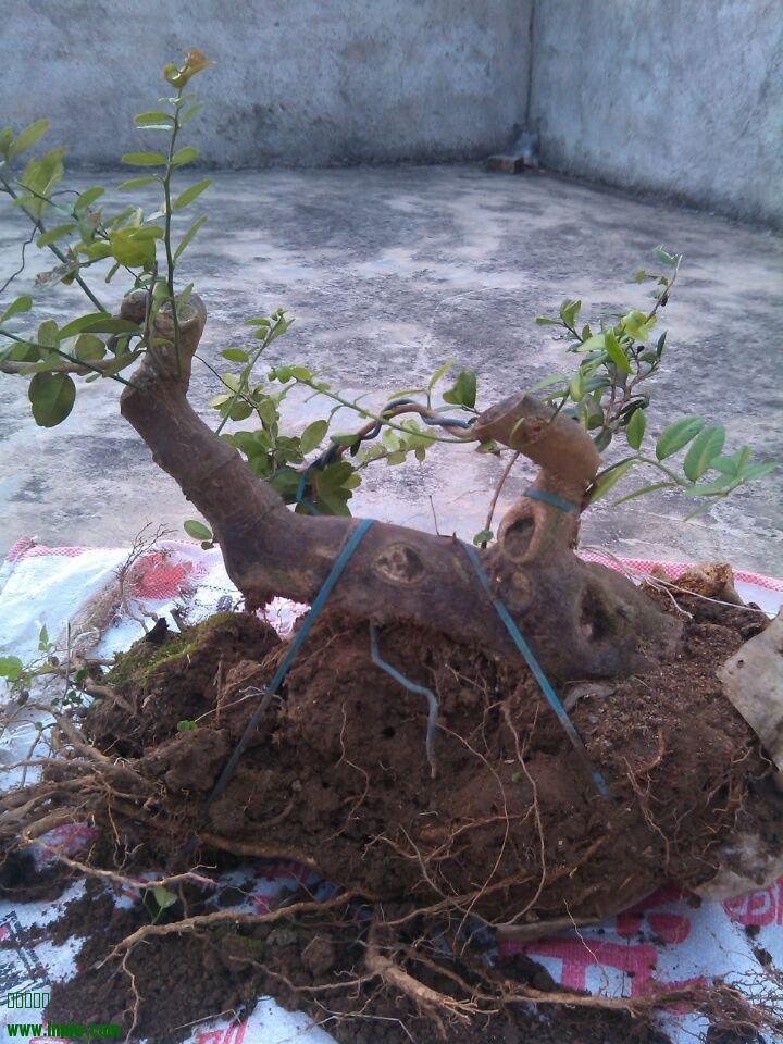 QQͼƬ20140228180011.jpg