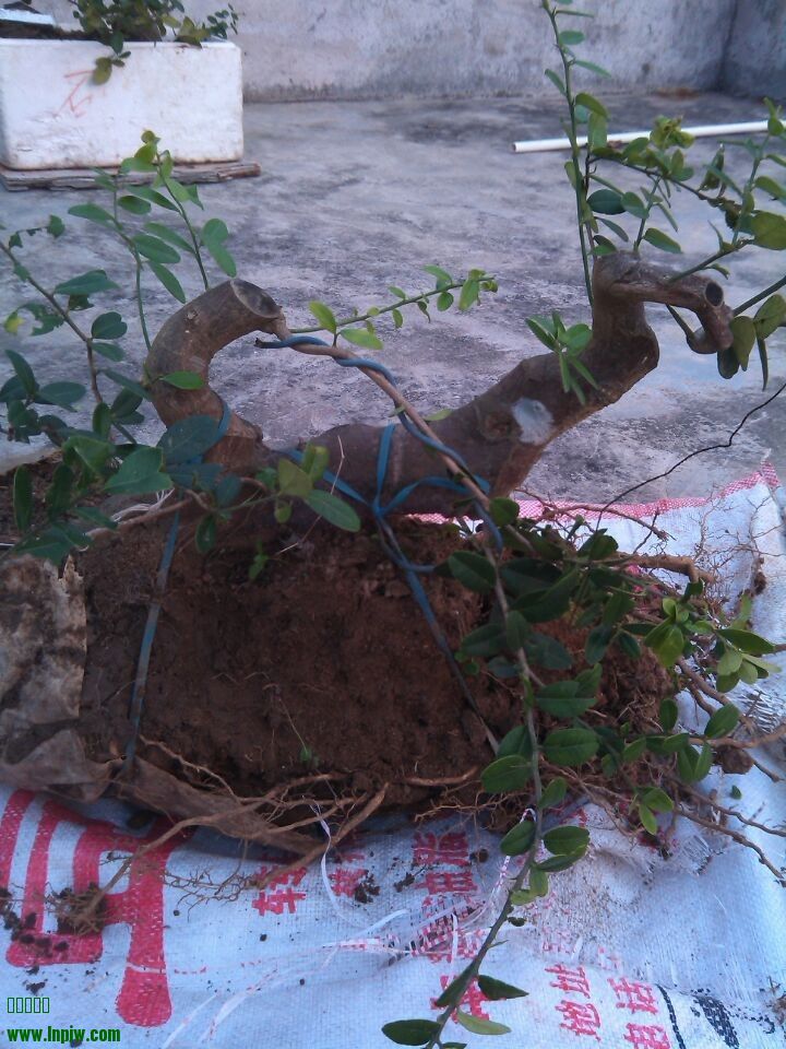 QQͼƬ20140228175959.jpg