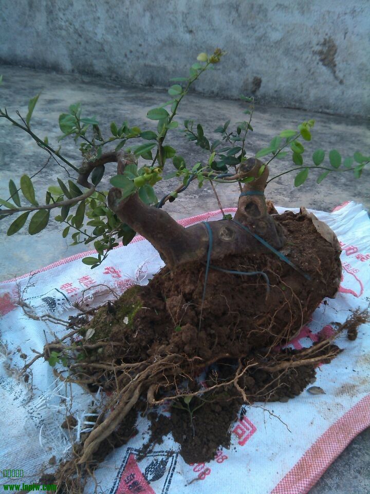 QQͼƬ20140228180006.jpg