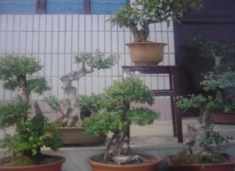QQͼƬ20140301095014.jpg