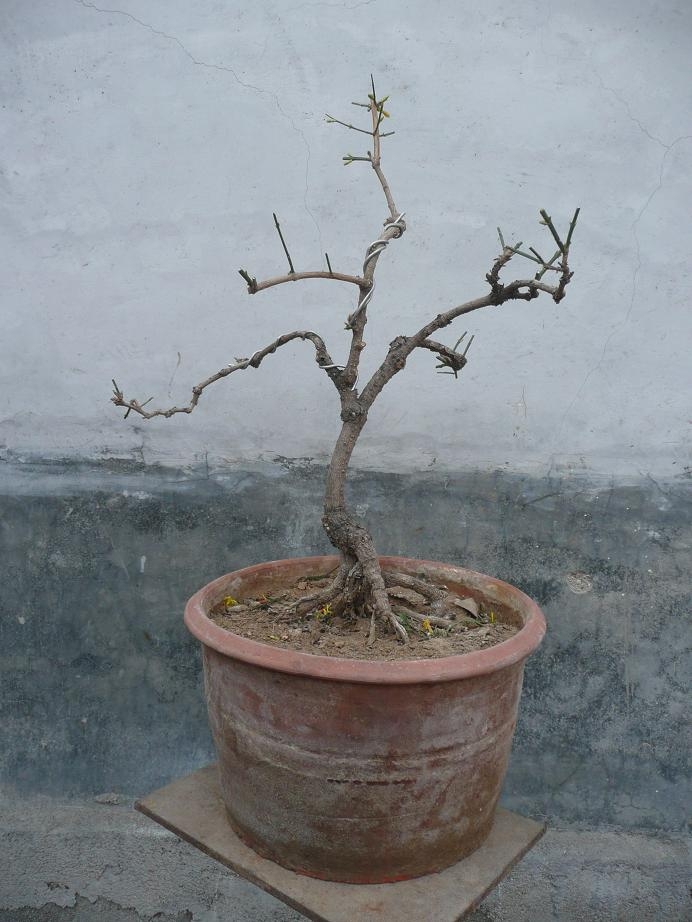 P1050196.JPG