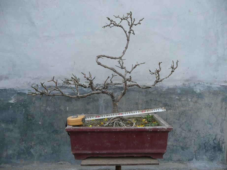 P1050189.JPG