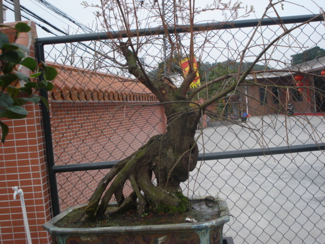 DSC01596.JPG
