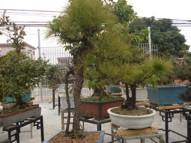 DSC01615.JPG