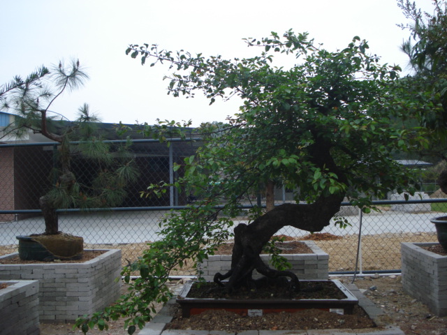 DSC01624.JPG