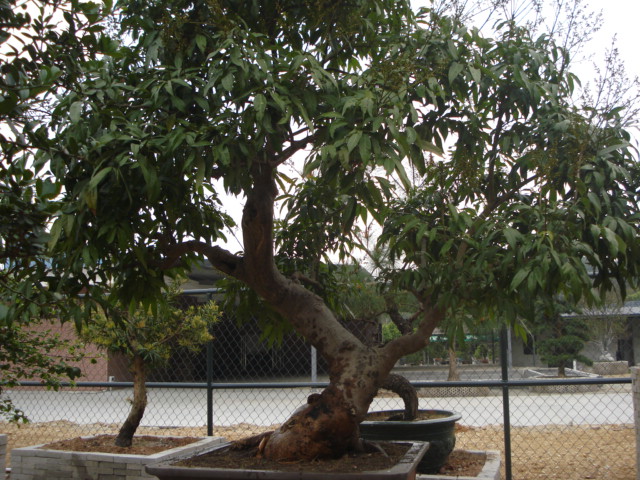 DSC01625.JPG