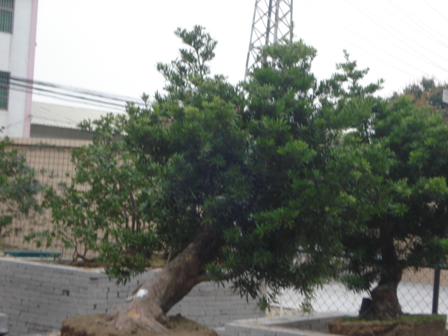 DSC01628.JPG